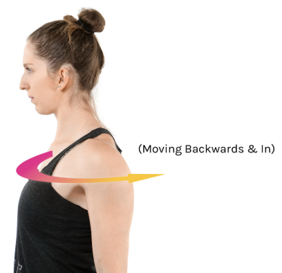 <p><span>nonangular movement posteriorly</span></p>