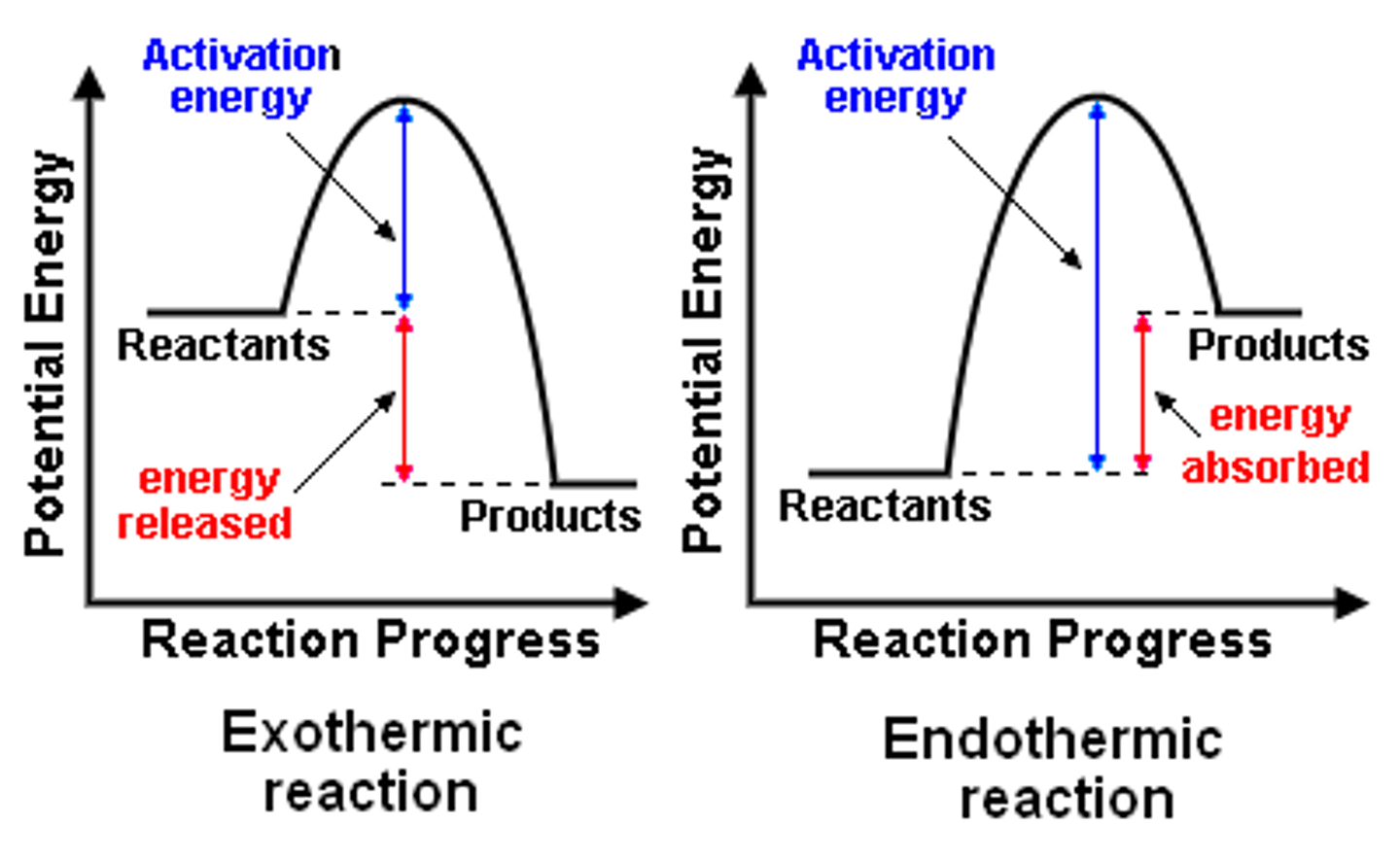 <p>Energy Profile Diagrams are representations of the energy (or enthalpy) level of the reaction as the reaction progresses.</p><p>For example, it might start at one point, then gain energy as bonds are broken, then release energy as new bonds are formed, until the final products have an net lower enthalpy than the initial reactants. This shows that the reaction has overall released some energy, making it exothermic</p><p>If the ​Energy of Products &lt; Energy of Reactants​, it is ​exothermic​ (because that energy is released as heat), and ΔH &lt; O.</p><p>If the ​Energy of Products &gt; Energy of Reactants​, it is ​endothermic​ (because additional energy is consumed), and ΔH &gt; O.</p><p>Also note that the Activation Energy in an exothermic reaction is generally lower than an endothermic reaction, because endothermic reactions are actually consuming energy.</p>