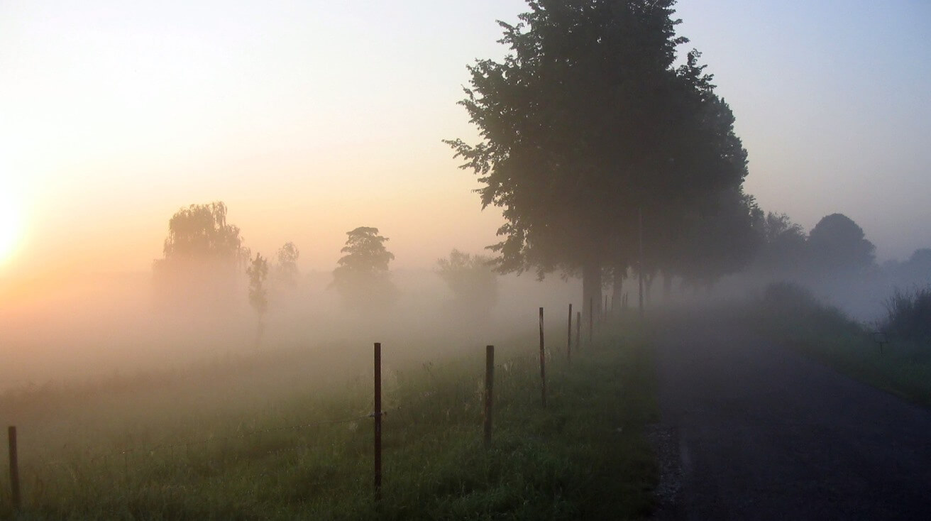 <p>Mist</p>