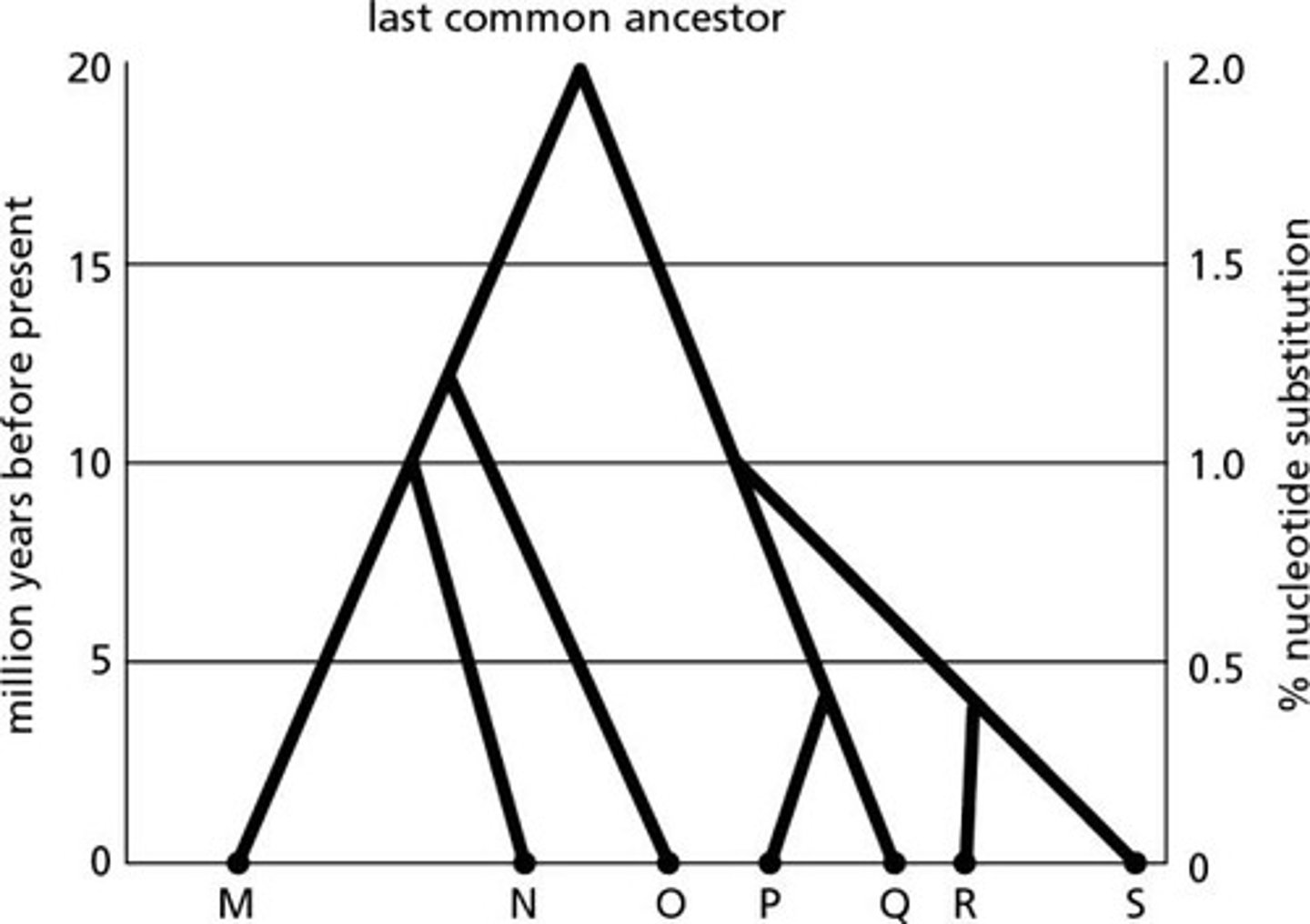 <p>False; the number can change based on the cell's energy needs.</p>