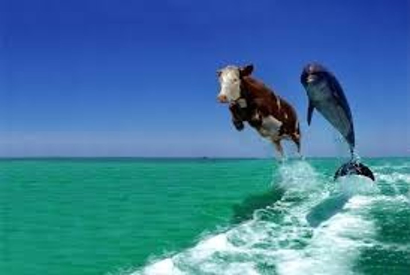 <p>an act intended to trick or deceive, a fraud; to trick, deceive</p>