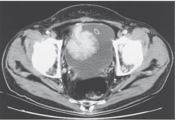 <p>What is this </p>