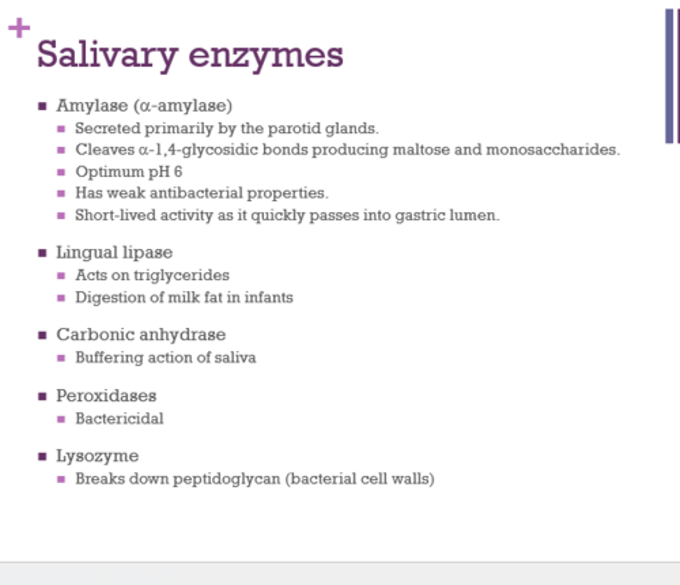 <p>buffering action of saliva</p>