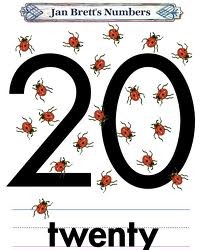 20
