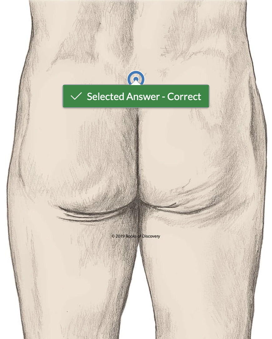 <p>top of butt crack </p>