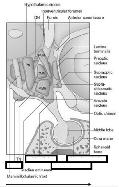 <p>Benoem de aangeduide delen</p>