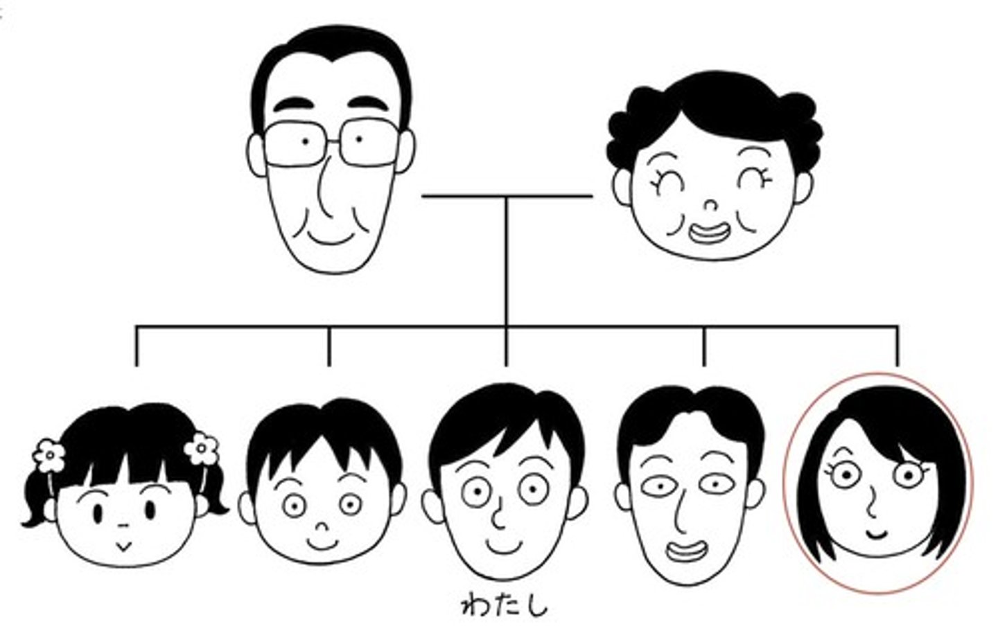 <p>older sister</p>