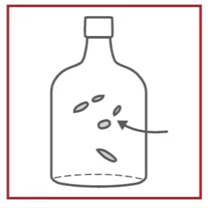 <p><strong><u>Critical Defect:</u></strong></p><p>A thin walled bubble in glass.</p>