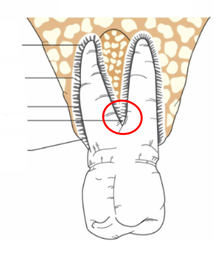 <p>What is this?</p>