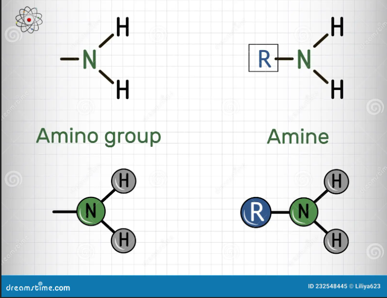 <p>A functional group present in a primary amine </p>