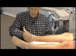 <p>Which form of doppler imaging is seen here?</p>