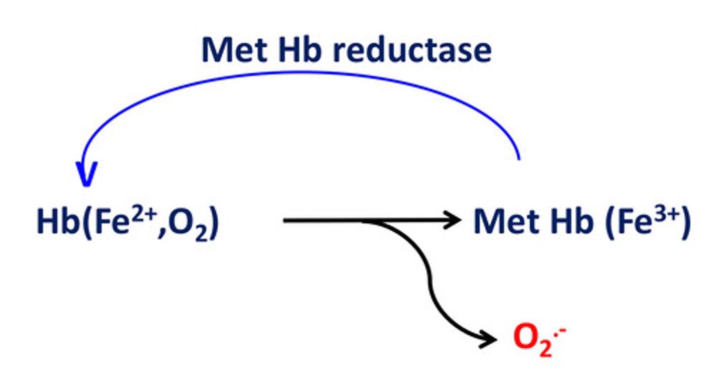 <p>Superoxide</p>
