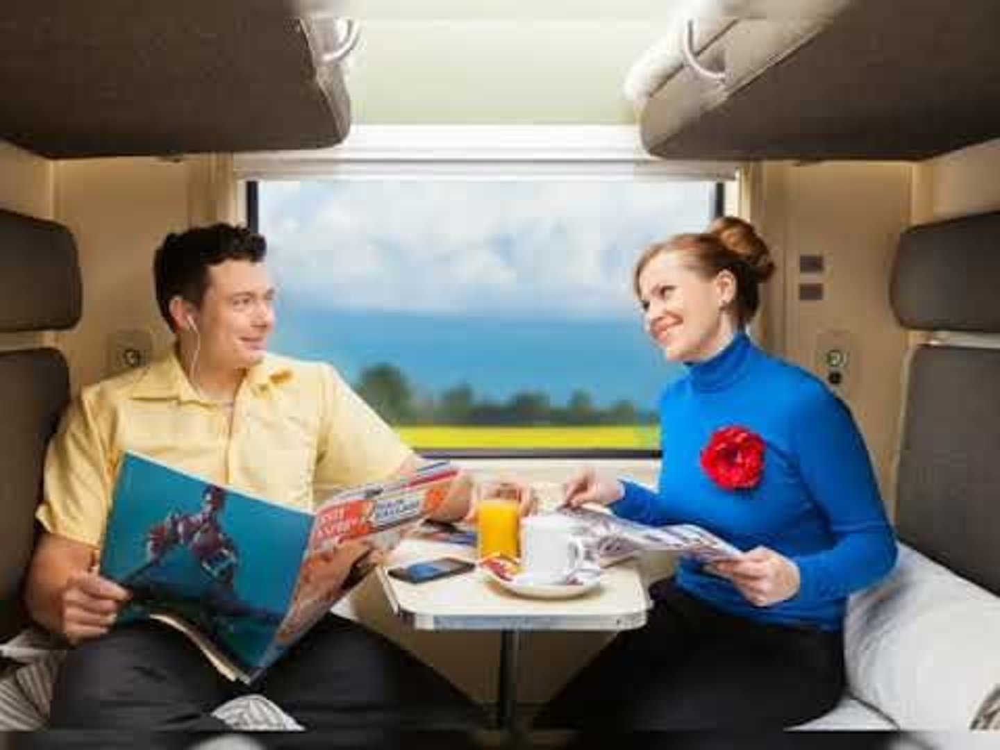 <p>el viajero, la viajera</p>