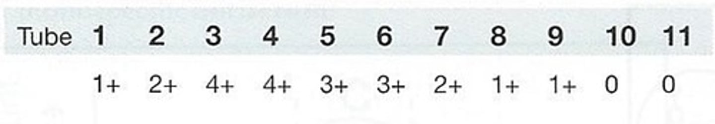 <p>65. The following pattern of aggultination was observed in an antibody titration:</p><p>This set of reactions most likely resulted from:</p><p>a) faulty pipetting technique</p><p>b) postzoning</p><p>c) prozoning</p><p>d) the presence of a high-titer, low-avidity antibody</p>