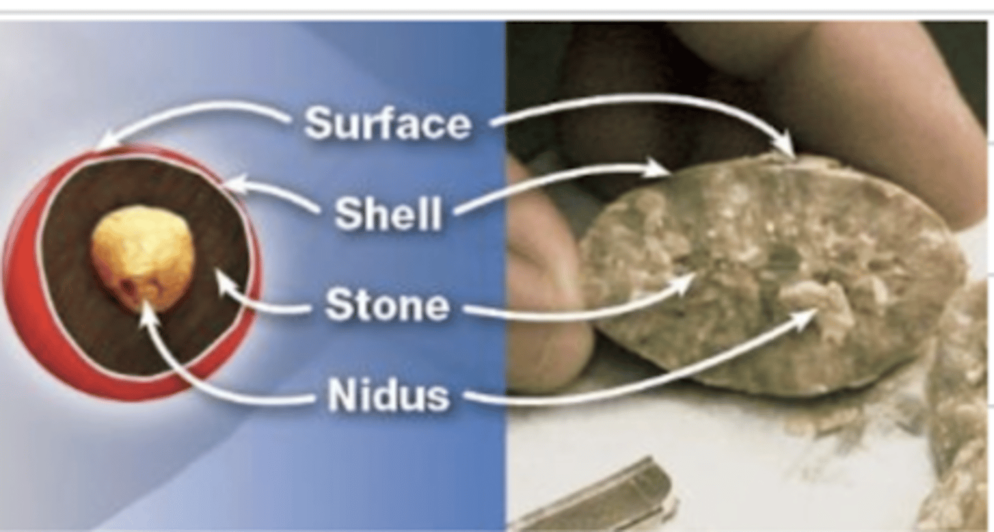 <p>macroscopic sediment formed by non-soluble crystals</p>