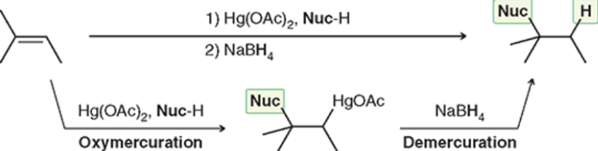 <p>No carbocation rearrangements possible (makes it superior to acid-catalyzed hydration)</p>