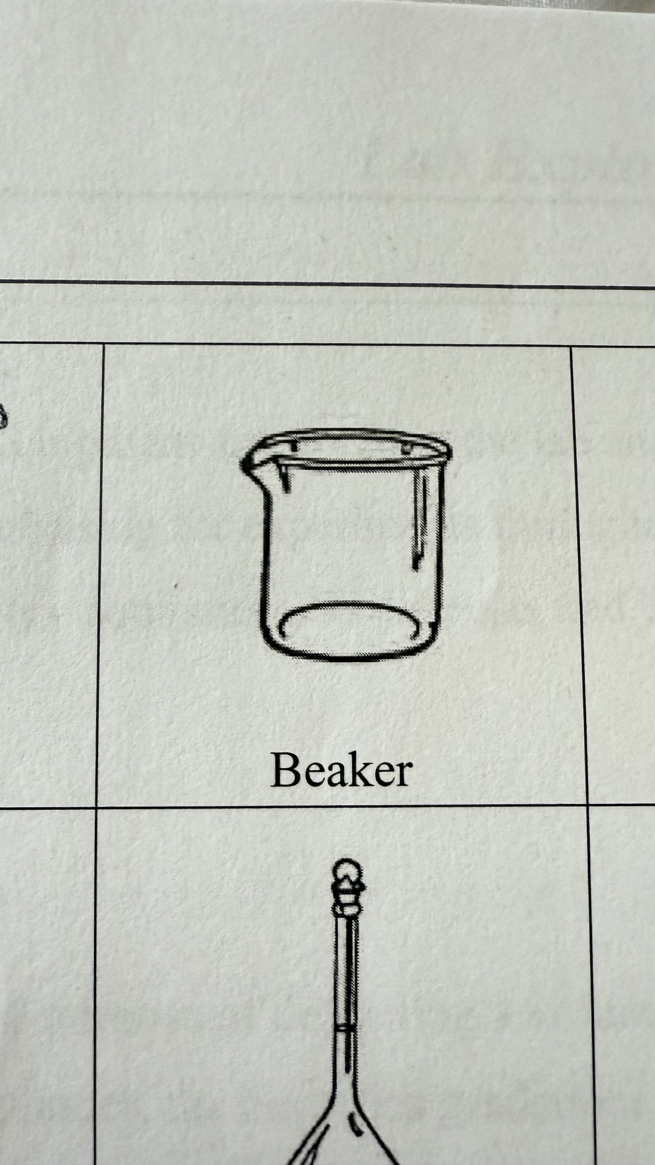<p>Beaker</p>