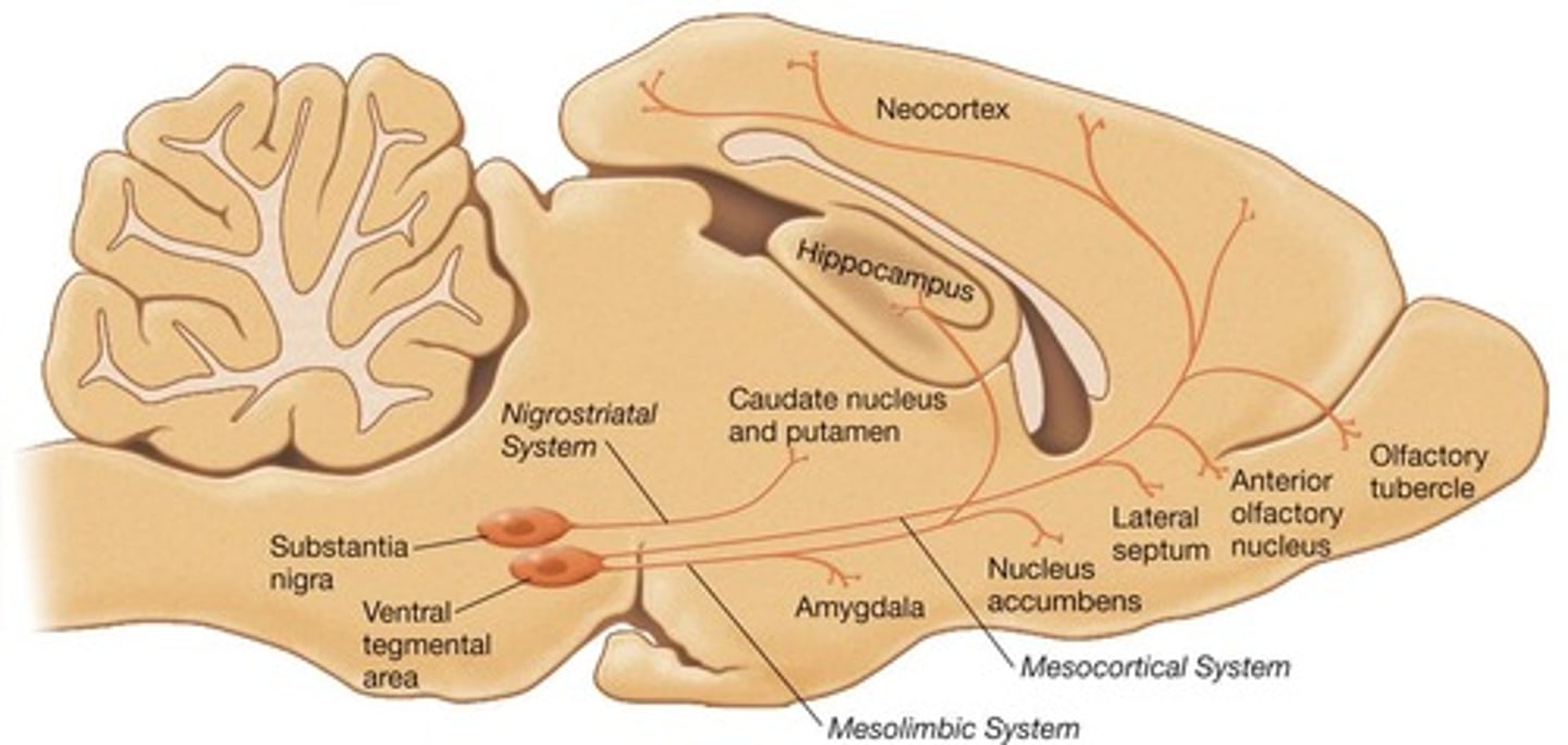 <p>Three main pathways.</p>