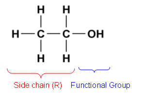 <p>functional group: -OH</p><p>prefix: hydrox-</p><p>suffix: ol</p><p>general formula: C<sub>n</sub>H<sub>2n+1</sub>OH</p>