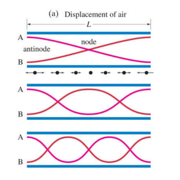 <p>open ends must be antinodes - the air has the most freedom to move</p><p>L = n(wavelength/2) </p><p>wavelength = 2L/n </p><p>Frequency at n harmonic = number harmonic x initial frequency</p>