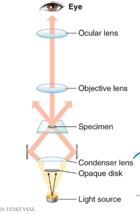 <p>What type of microscope is this?</p>