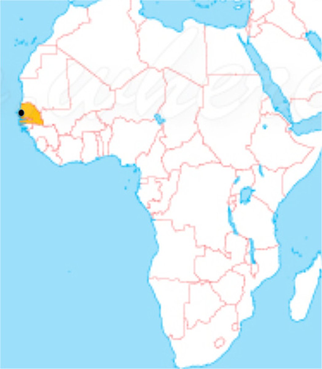 <p>Capital of Senegal</p>