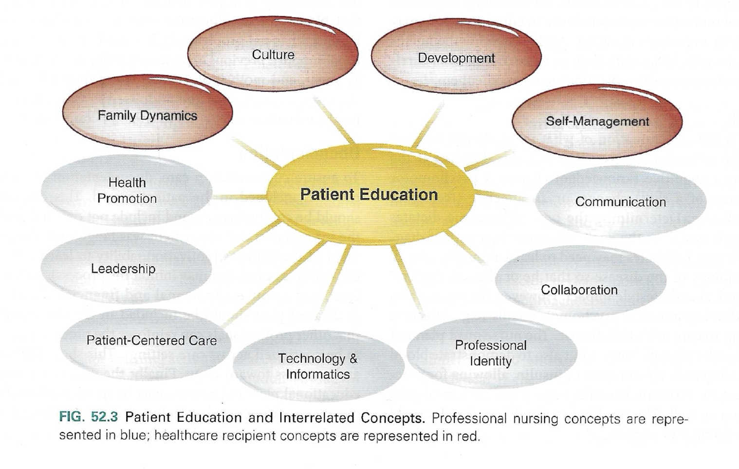 <p><span>The Nurse’s Role in Educative Practice</span></p>