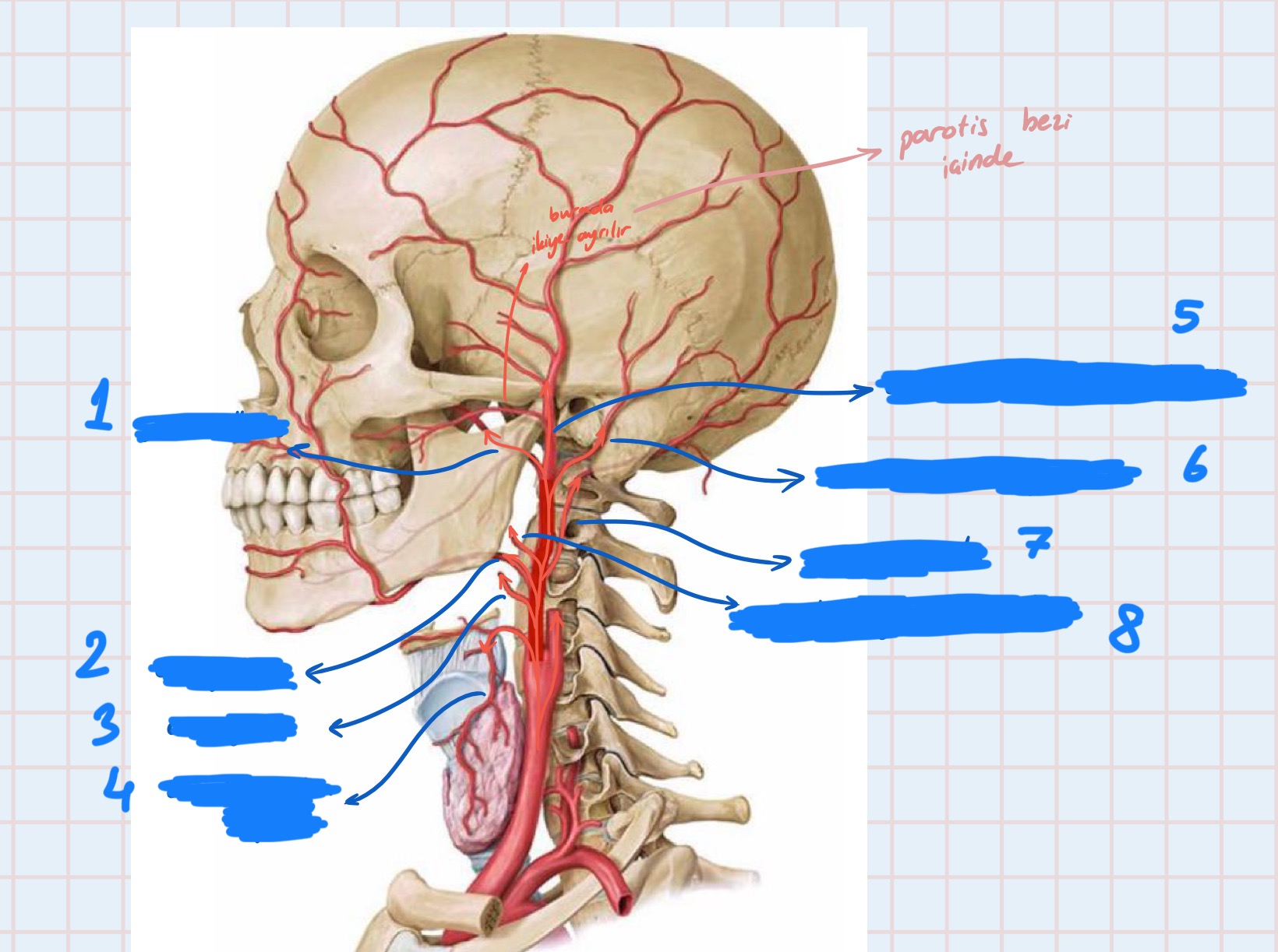 <p>3</p>