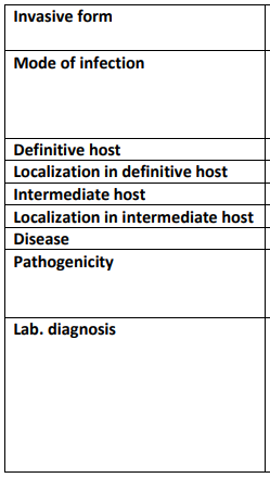 <p>Toxoplasma gondii</p>