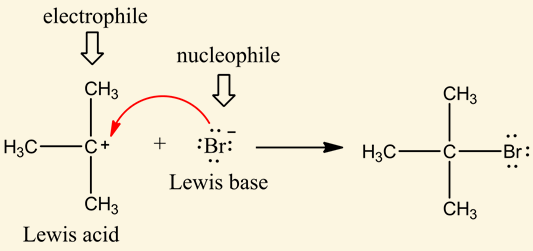 <p>electrophiles</p><ul><li><p>contain a positive charge or are positively polarized  </p></li></ul><p></p>