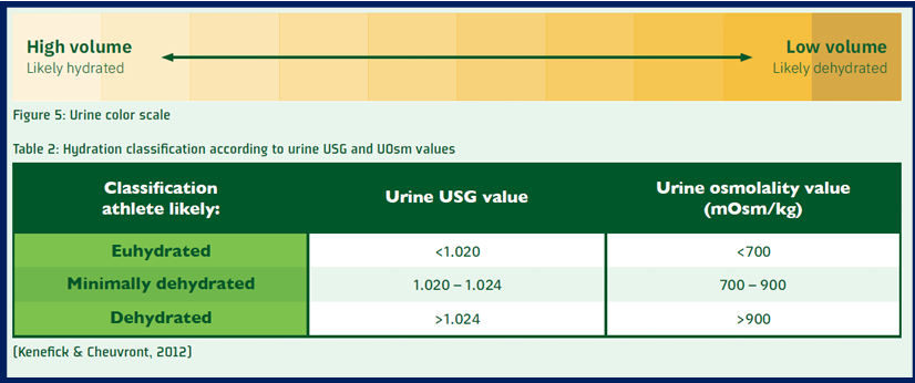 <p>urine color OR urine specific gravity test </p>