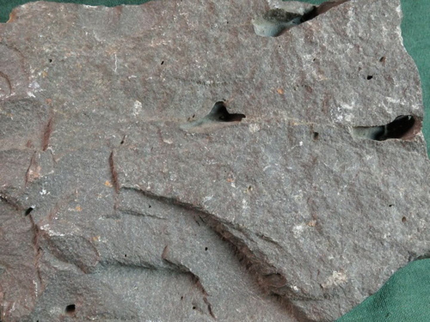 <p>A dark, fine-grained, phenocryst-free rock. The crystals are too small to identify, so this type of rock is inferred from its dark color, which indicates that it is rich in mafic minerals. (volcanic rock - quickly-cooled, fine-grained or glassy)</p>