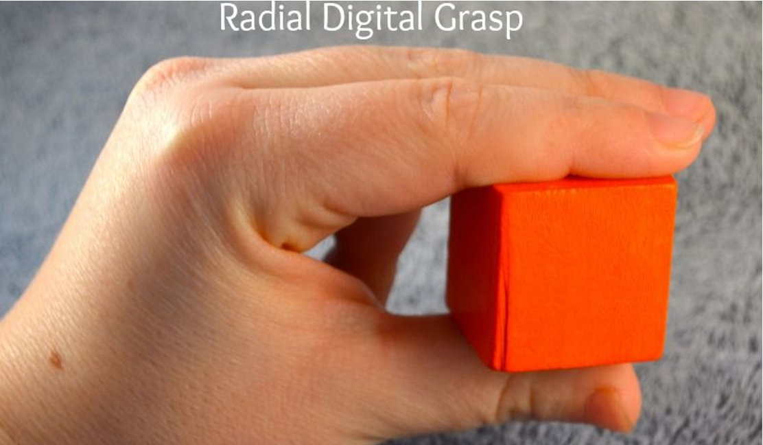 <p>Thumb opposition to the radial fingers</p><p>Object is held proximal to the pads of the fingers with space visible between the object and the palm</p><p>Object is held away from the palm, giving the child greater manipulative control. Yet, this grasp is not a fingertip grasp, because the object is held proximal to the pads of the fingers</p><p></p>