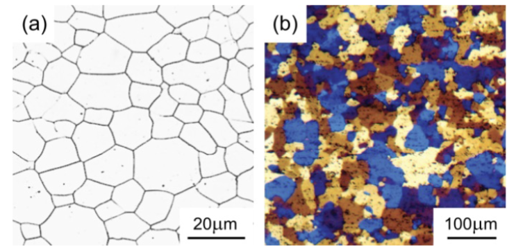 <p> (a) pure Fe and (b) pure Al. In (b) the etching technique produces color contrast between different crystal orientations – but it is still all one phase.</p><p>colors present different grains and crystal orientations&nbsp;</p><p> </p>