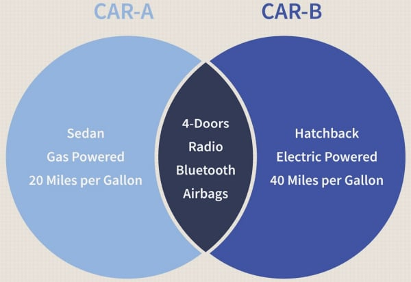 <p>Identify what type of organizer is this:</p>