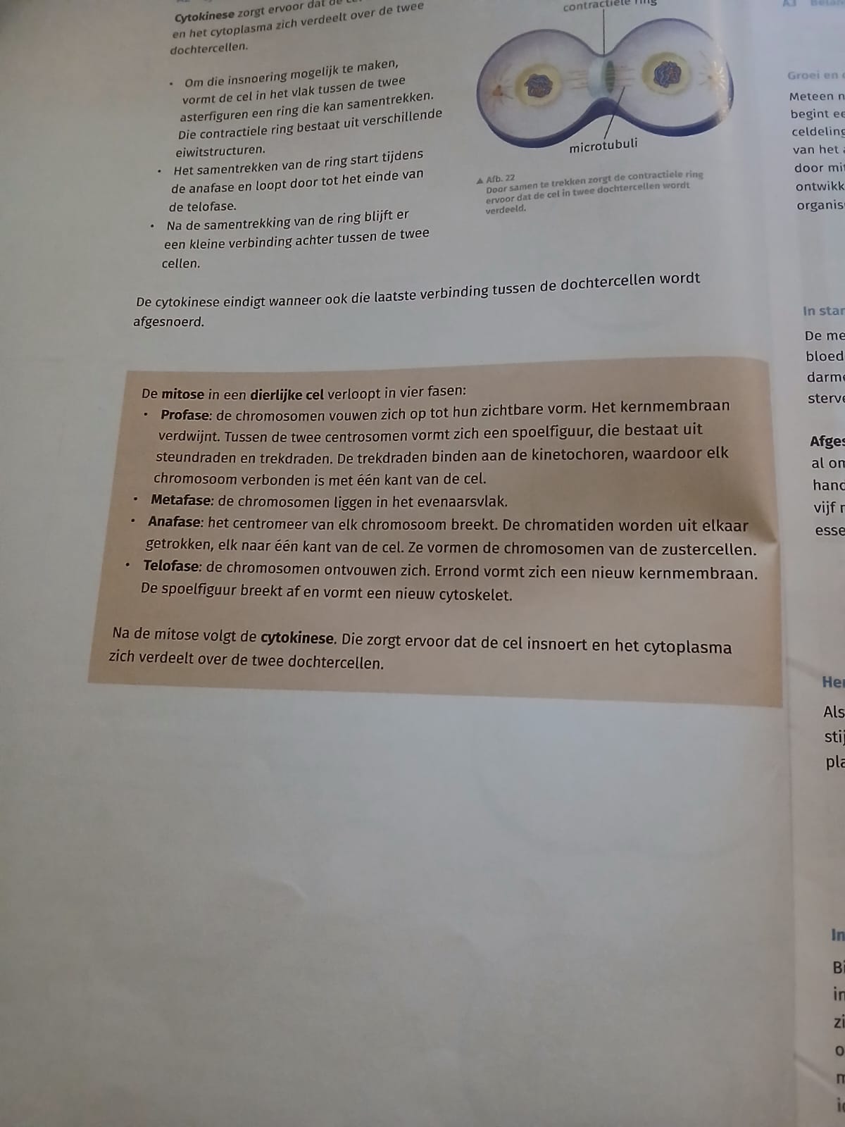 <p>pls bekijk voor de les</p>