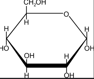 <p>-Molecules that contain <em>carbon</em>, oxygen, and hydrogen.</p><p>-AKA sugars</p><p>-Can be classified as simple sugars or starches(polysaaccharides)</p><p>-Carbs are energy sources</p>