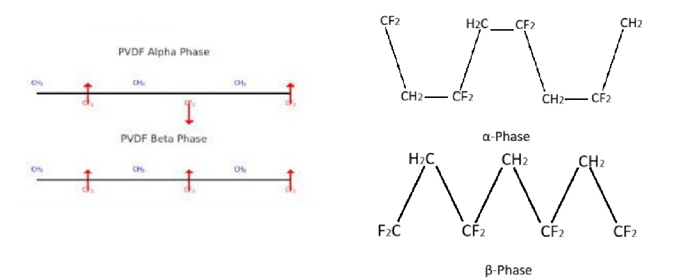 <ol><li><p><strong><u><span>α</span>-Phase</u></strong> which is a most common phase. It is <span style="color: red;"><span>non-polar</span></span> and has <span style="color: red;"><span>twisted chain</span></span> structure. The dipoles of C-F bonds are arranged in alternating directions and they cancel out. Hence, no net polarization.</p></li><li><p><strong><u>β-Phase</u></strong> is <span style="color: red;"><span>highly polar</span></span> where the dipoles (C-F bonds) are aligned in one direction. Hence, it has strong net polarization. It has <span style="color: red;"><span>dipole moment 2.1 D per unit</span></span>. It has <span style="color: red;"><span>straight chain structure</span></span>. This is responsible for unique <span style="color: red;"><span>piezoelectric and pyroelectric properties</span></span>.</p></li><li><p><span>γ</span>- and <span>δ</span>-phases are less common.</p></li></ol><p></p>