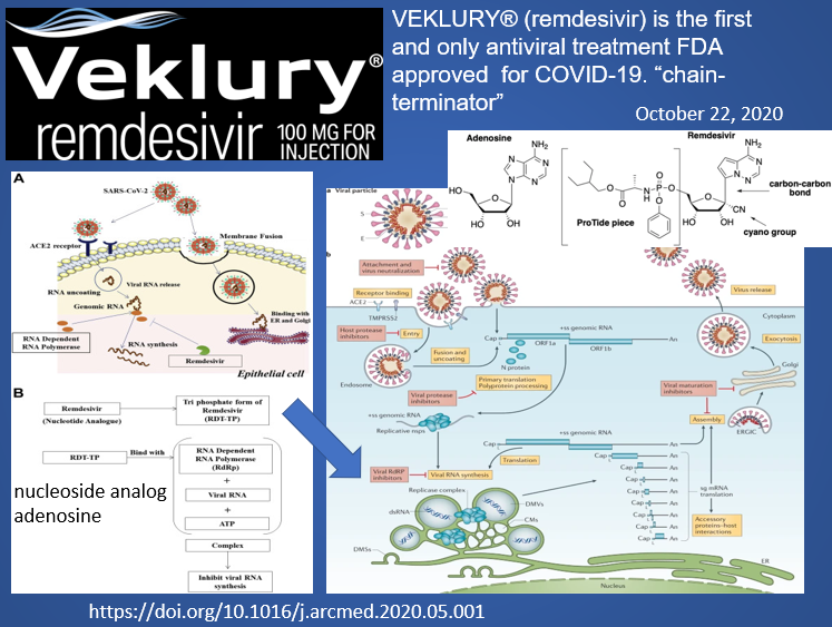it is a nucleoside analog