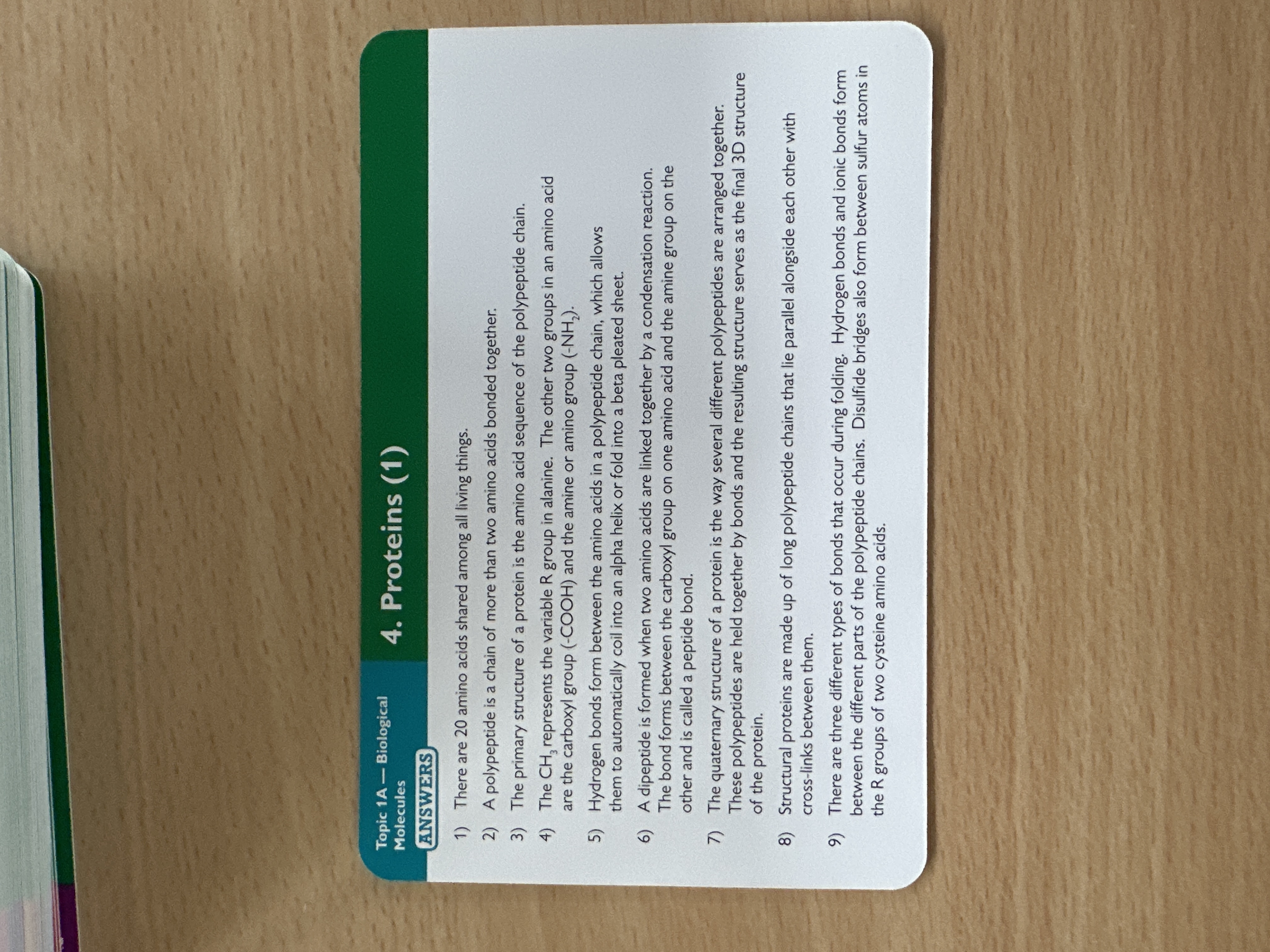 knowt flashcard image