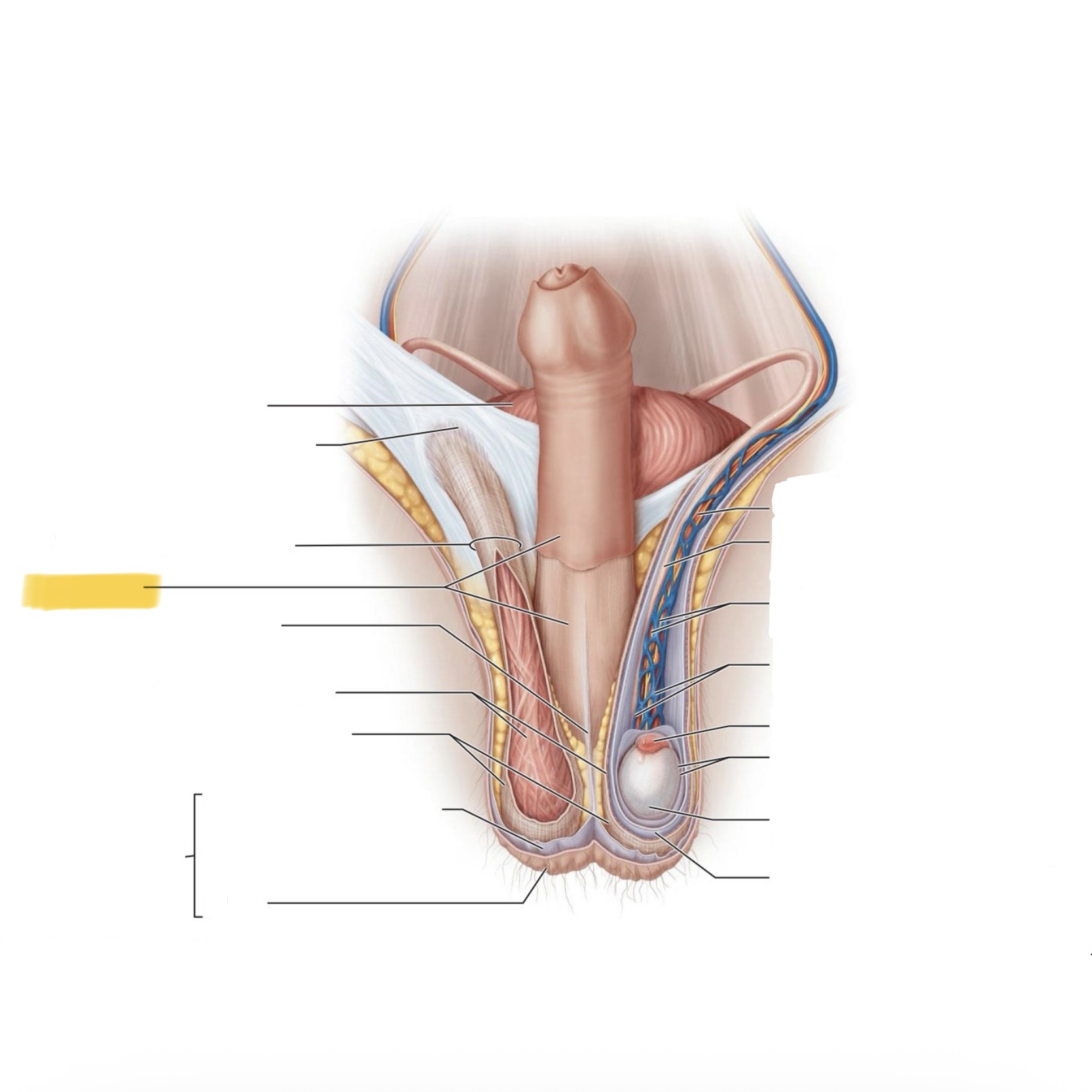 <p>What is this structure?</p>