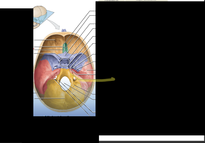 <p>What is the structure?</p>