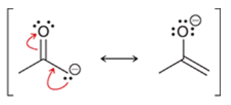 <p>a resonance-stabilized intermediate that results from deprotonation of a ketone’s alpha position when treated with a strong base</p><p>possess two nucleophilic sites which can each attack an electrophile (thus, called ambident nucleophiles) (oxygen or carbon)</p><p>O bears the majority of negative charge, but C is more common to attack</p><p>more useful than enols because they possess a full negative charge (are more reactive), and can be isolated and stored for short periods of time</p><p>most reactions in this chapter will proceed via this intermediate</p>