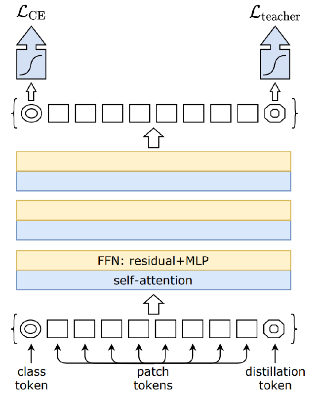 <p>= Data Efficient Image Transformer</p><p>A ViT variant that incorporates a distillation token in the input sequence as well</p><p>→ learns from a teacher model by optimizing the mean of the classification and distillation loss (cross-entropy of the ε-smoothed hard teacher and student logits)</p><p>→ the teacher’s prediction is set to 1 − ε, and the rest of the probability mass is distributed among the other classes to get soft labels</p><p>→ during inference, the dist. and class. logits are summed before softmax</p><p><strong>Use Cases</strong>: Applied in scenarios where training data is limited but high-quality CNN models are available for transfer learning.</p>