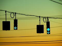 You are permitted to drive in a lane under a green arrow signal.