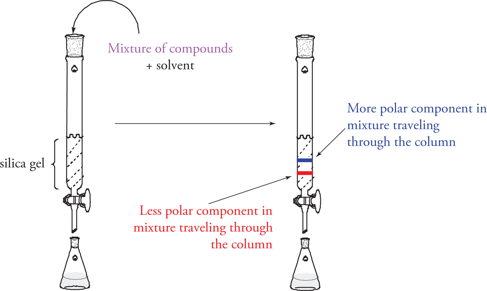 How does Flash/Column work?