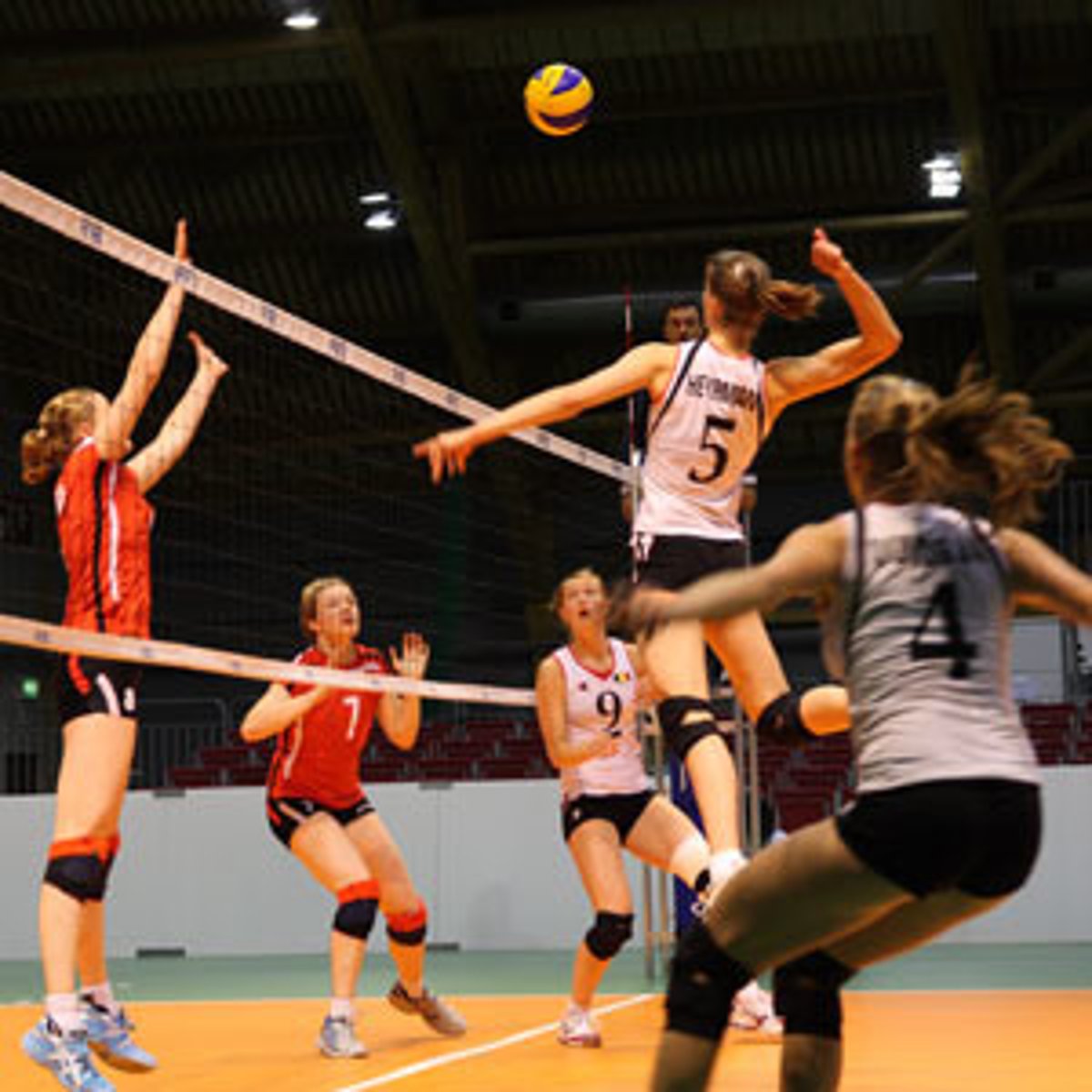 <p>volleyball</p>