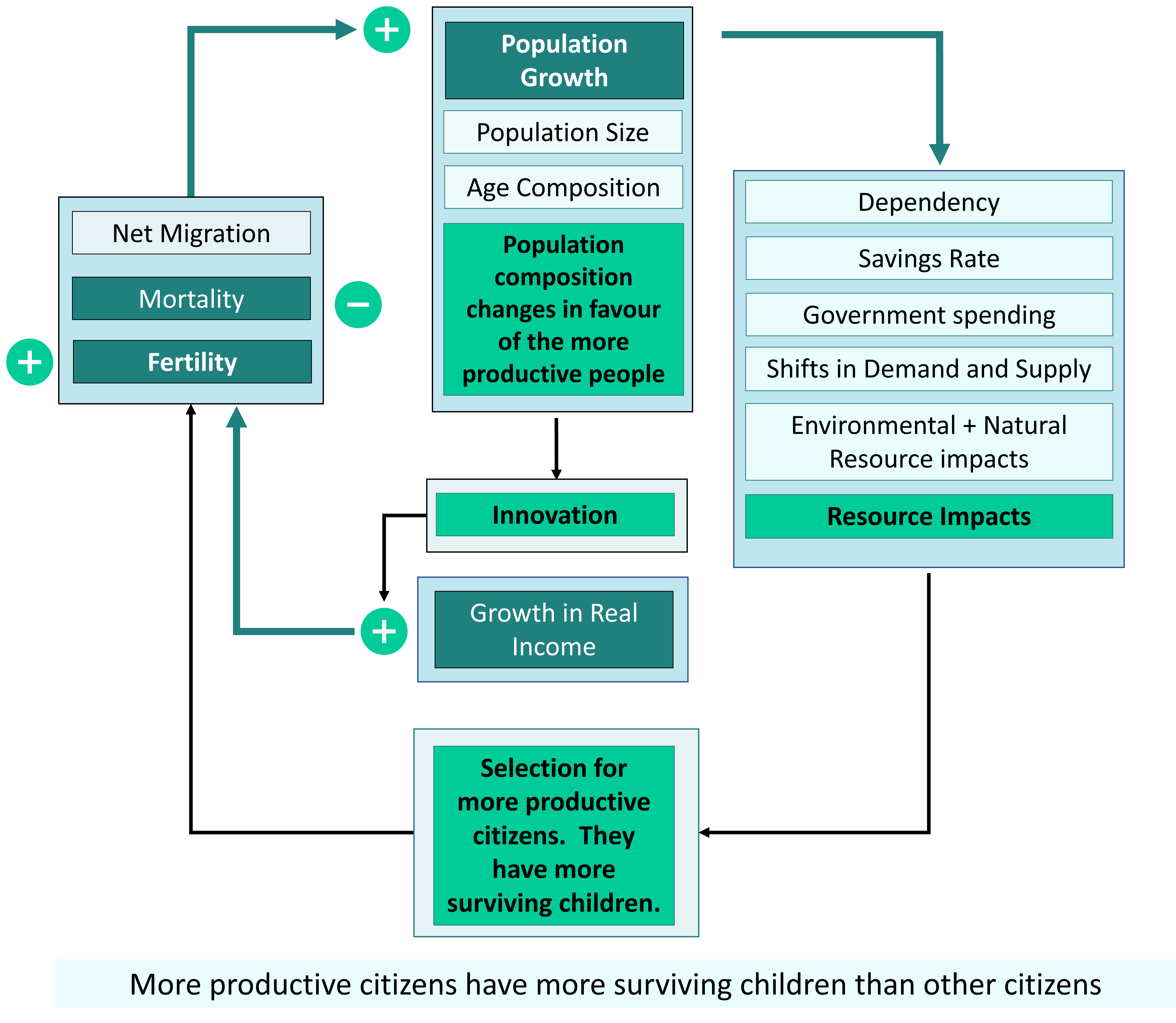 <ul><li><p>when population growth leads to food scarcity and rising economic pressures, people who are literate, numerate, hard-working, and thrifty are more likely to adapt</p></li><li><p>Productivity of the economy will get better </p></li><li><p>More productive citizens have more surviving children than other citizens </p></li><li><p>He ignores that innovating activity will not be successful unless society rewards innovation</p></li><li><p>Reminds us that the composition of the population can make a difference in the economy</p></li><li><p> </p></li></ul>