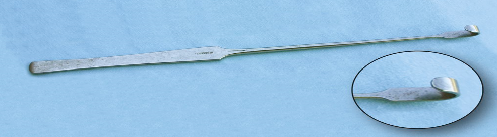 <p>Identify this instrument.</p><p>It is used to retrieve the uterine horn.</p>