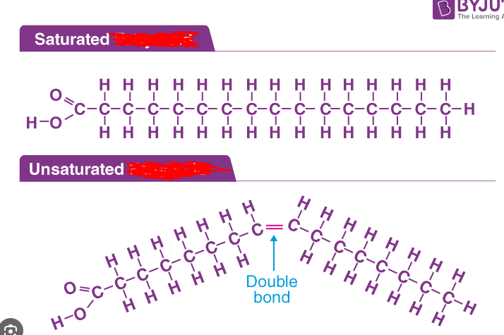 <p>Molecules with a carboxylic end and a hydrocarbon tail/chain. These undergo esterification with other molecules, specifically alcohols, in order to create fats.</p>